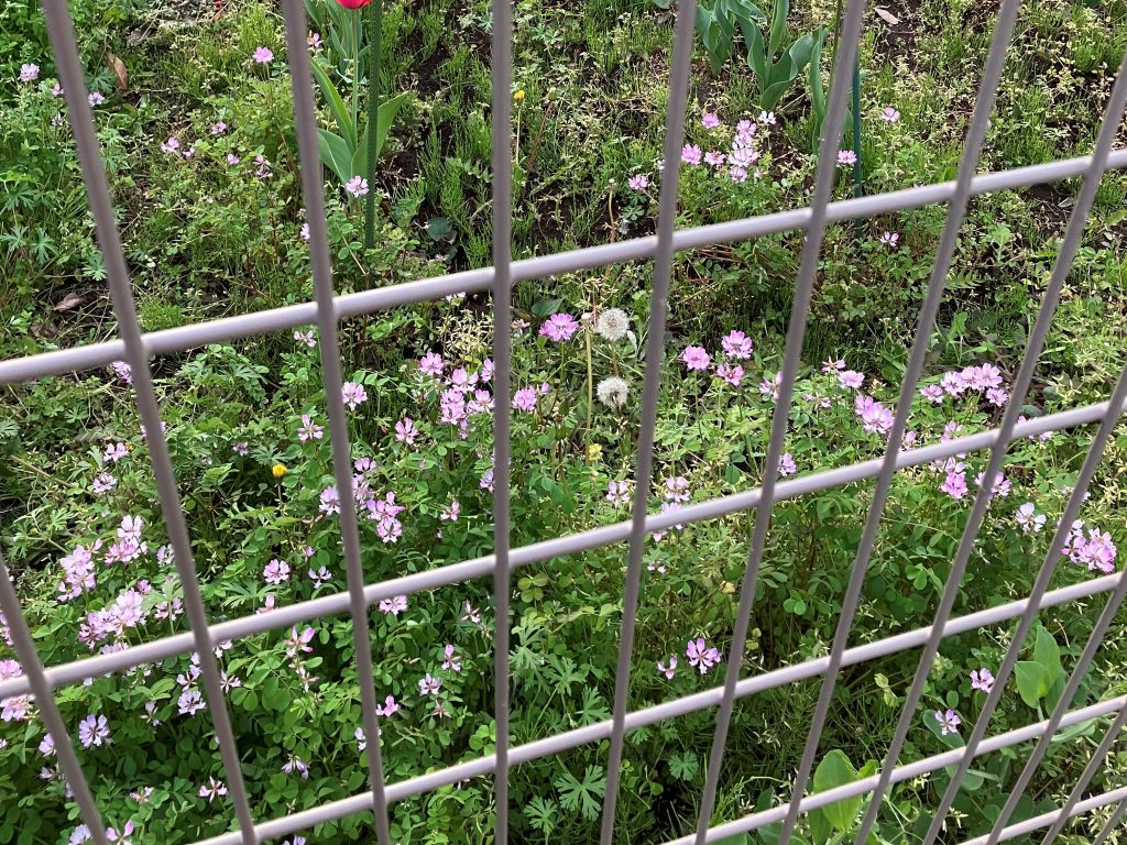 春の訪れ~カツマタファーム | 材木屋が造る無垢と自然素材の家 カツマタスタッフブログ
