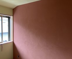 img_0244