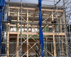 img_6514-%e3%82%b3%e3%83%94%e3%83%bc1