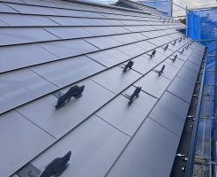 img_6669-%e3%82%b3%e3%83%94%e3%83%bc