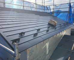 img_6687-%e3%82%b3%e3%83%94%e3%83%bc