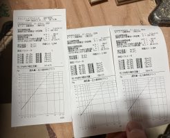 img_1505-%e3%82%b3%e3%83%94%e3%83%bc