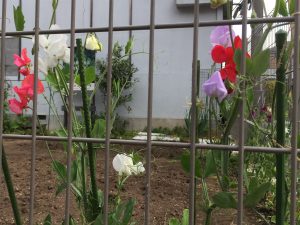 img-3494