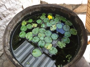 img-3897