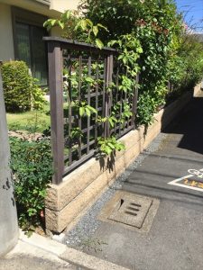 img_1257_r