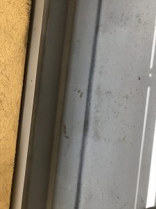 img_3329_r