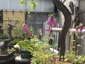 img_7569