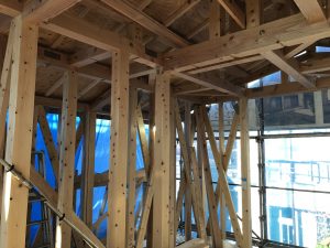 dc66c807-53ab-485e-b7b4-c5ddc17b775d