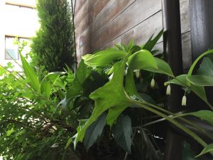 img_8418