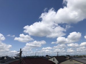 8988dd2b-009d-4504-bd82-3dae31c16d81