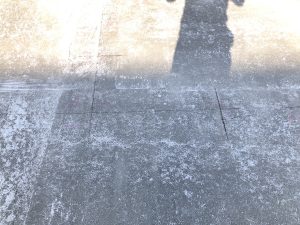 img_0059