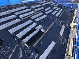 img_0161
