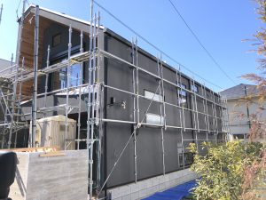 img_0631