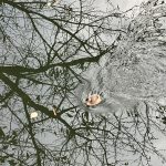 img_0790