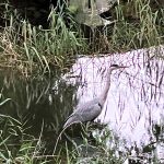 img_0826