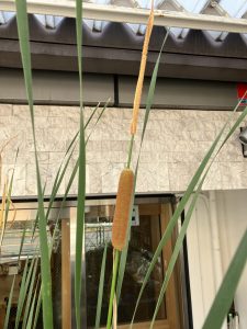 img_1680