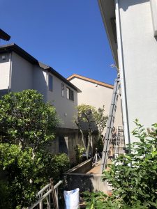 img_0884