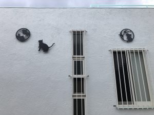 img_0909