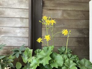 img_1976