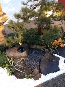 img_2990_r