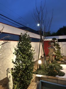 img_2996_r